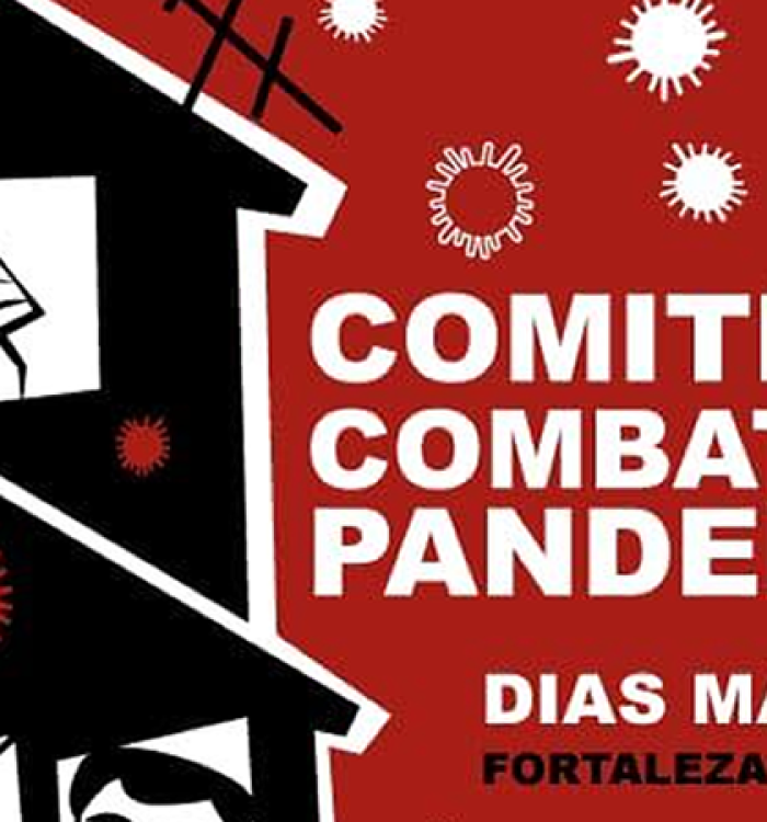 Comitê de Combate a Pandemia